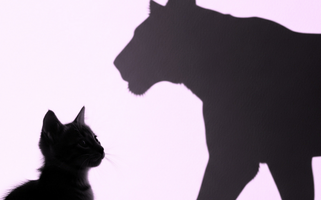 Gatito con la sombra de una leona, simbolizando el coraje para superar el miedo al fracaso.