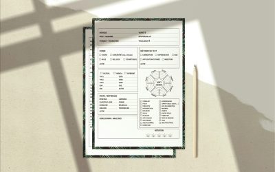 Cómo estructurar un currículum moderno y optimizado para procesos con IA